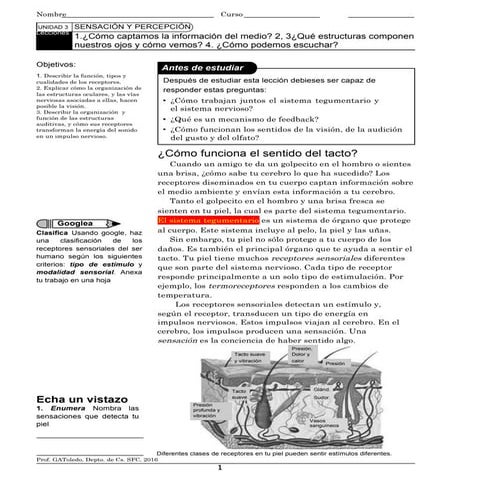 Receptores sensoriales. guía para tercero medio, plan común