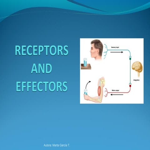 Receptors