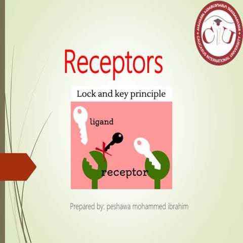 Receptors and receptors classification