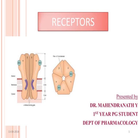Receptor seminar by Dr.Mahi Yeruva