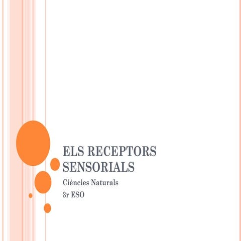 Receptors sensorials