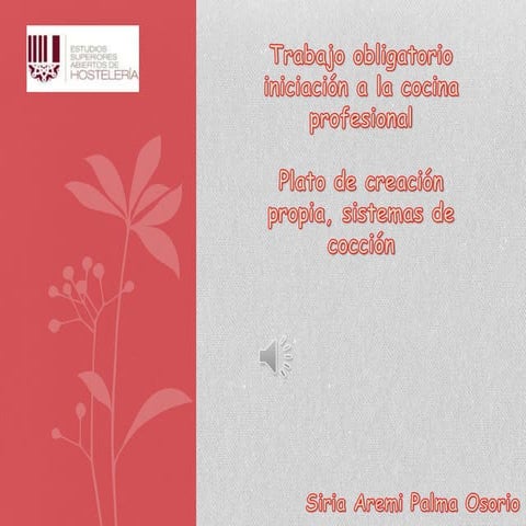 Receta plato de creacion propia