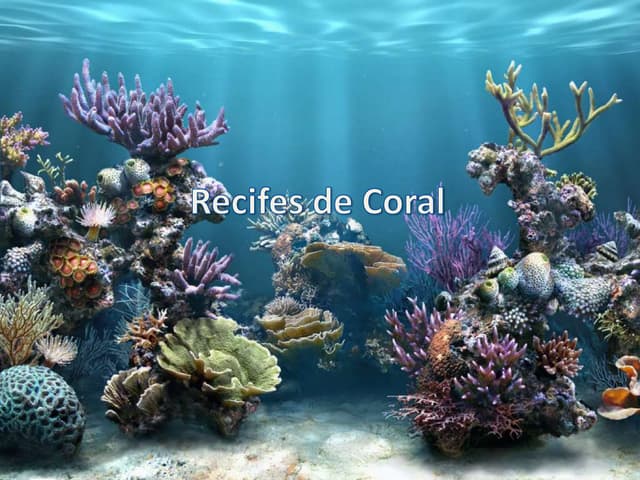 Recifes de coral
