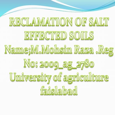 Reclamation of salt affected soils