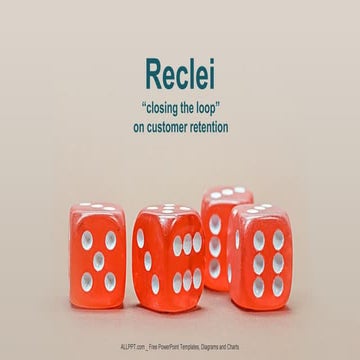 Reclei  Executive Summary