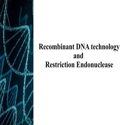 Biotechnology notes:RDT | DOCX