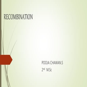 Recombination 2