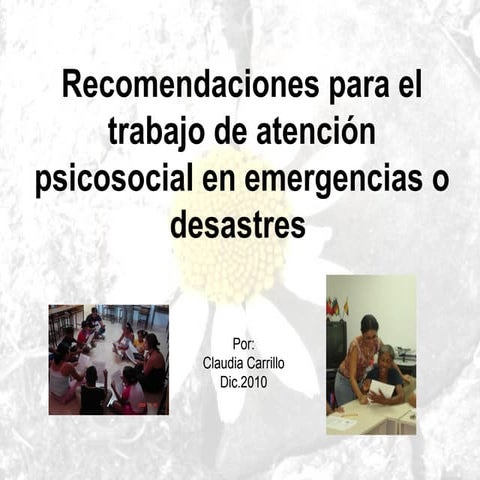 La Salud Mental en Situaciones de Desastres | PPTX