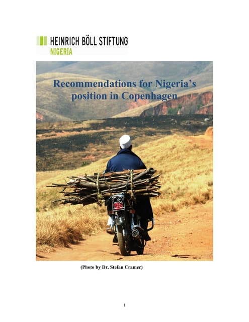 Recommendations For Nigerias Position