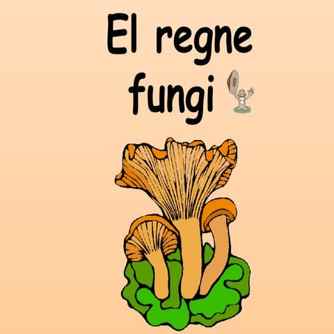 Reconeixent els fongs