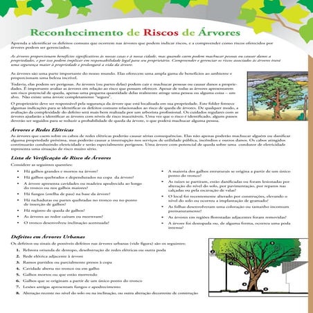 Básico sobre reconhecimento de Riscos de Arvores.pdf