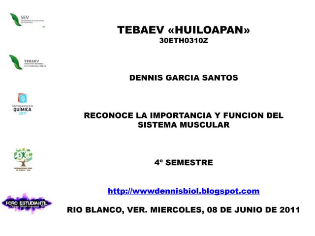 Reconoce la importancia y funcion del sistema muscular