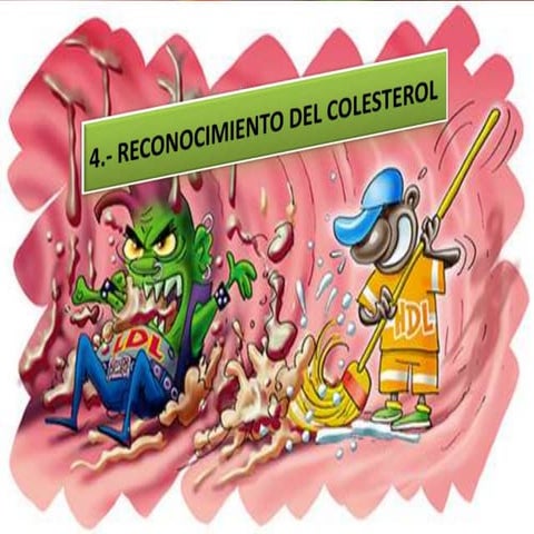 Reconocimiento del colesterol