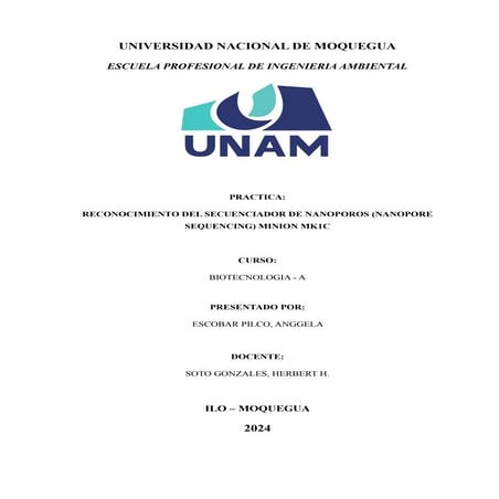 Secuenciador de nanoporos (Nanopore sequencing) MinIon Mk1C | PDF