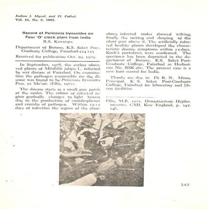 Record of periconia byssoides on four o clock plant from india