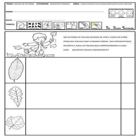 Recortar tipos de folhas