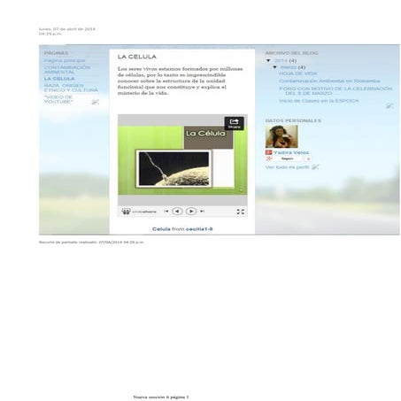 Recorte de pantalla 6