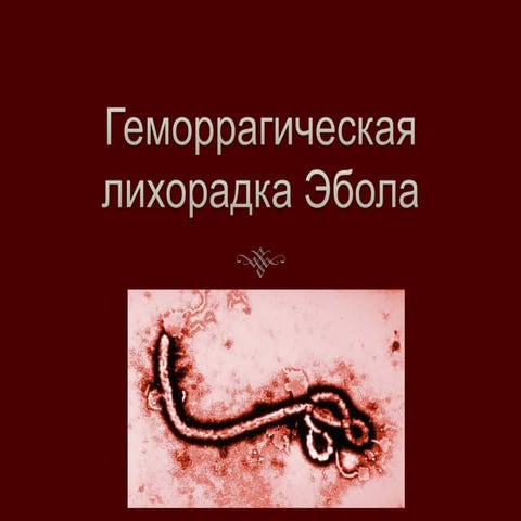 Геморрагическая лихорадка Эбола