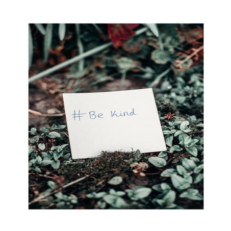 DO YOU WANT TO GET RID OF THE NUTSHELL?