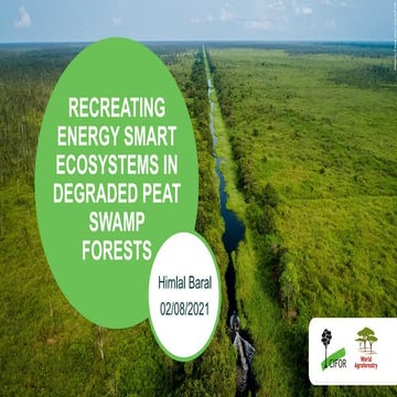 Recreating energy smart ecosystems in degraded peat swamp forests