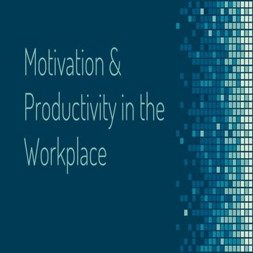 Motivation & Productivity in the Workplace