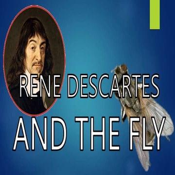 RECTANGULAR COORDINATE SYSTEM CLASSROOM OBSERVATION.pptx