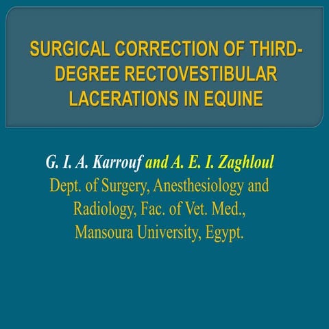 Third-degree Rectovestibular Lacerations in mares and mare donkeys