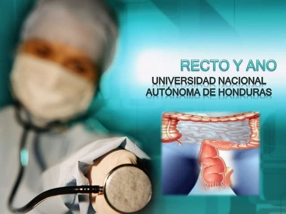 Anatomia del aparato urinario: riñones, ureteres, vejiga y uretra | PPT