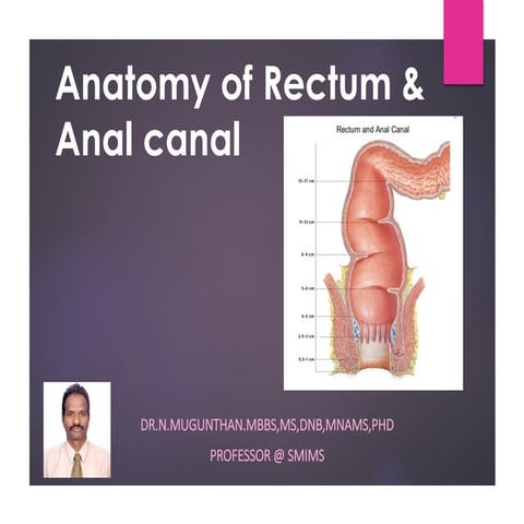 Rectum & Anal canal  By Prof.Dr.N.Mugunthan