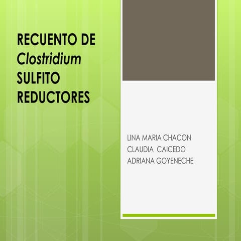 Recuento de clostridium sulfito reductores
