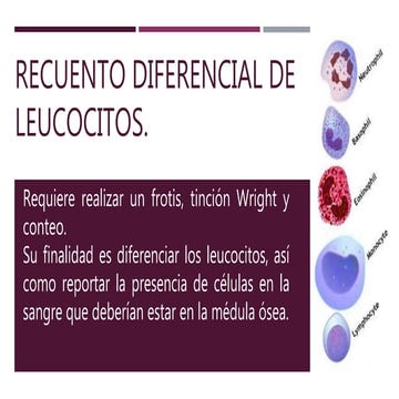 Recuento diferencial de leucocitos