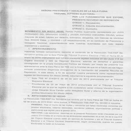 Recurso reposicion MSM