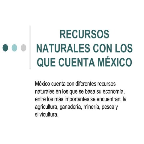 Zonas Económicas de México | DOCX