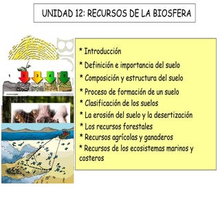 Recursos de la biosfera 2013