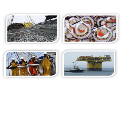 Recursos del mar peruano