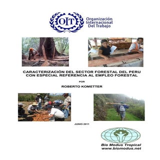 Recursos forestales y empleo en el ...