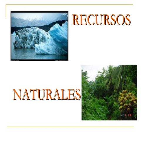 Recursos Naturales