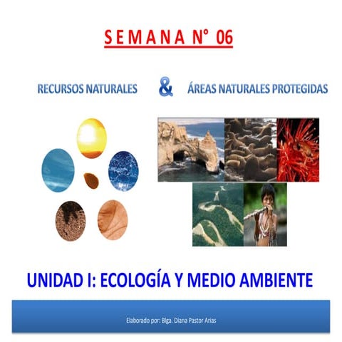 Recursos Naturales y Areas Naturales Protegidas.pdf