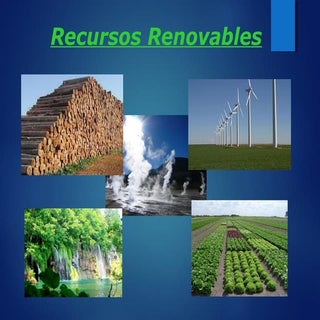 Recursosos renovables