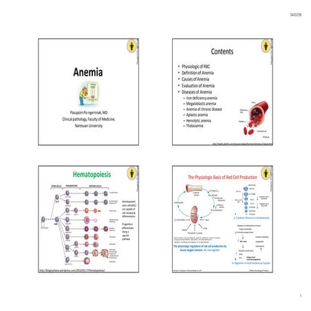 Red-blood-cell pathology notes with sketch | PDF