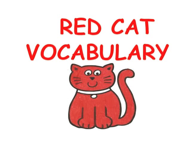 Red Cat Vocabulary