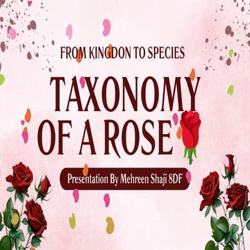 Family- Rosaceae.pptx
