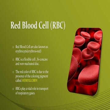 Red Blood Cell