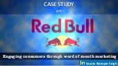 Red Bull Marketing Strategy - Word ...