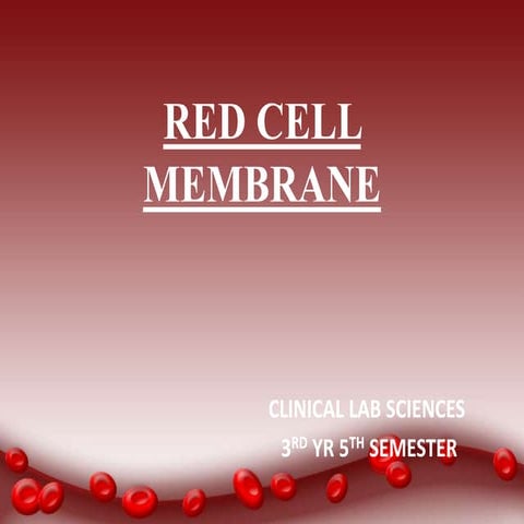 Red cell membrane
