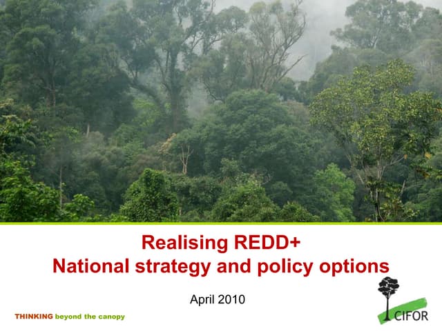 REDD+ National strategy and policy options