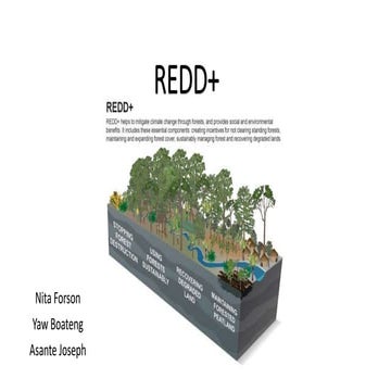 REDD+ (Reducing Emissions from Deforestation and Forest Degradation) | PPTX