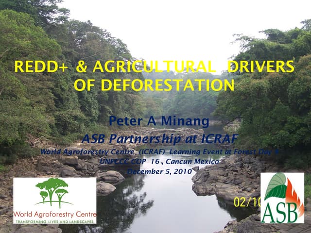 Redd+ & agricultural  drivers of deforestation