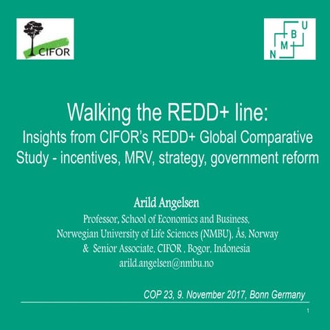 Walking the REDD+ line: Insights from CIFOR's REDD+ Global Comparative Study