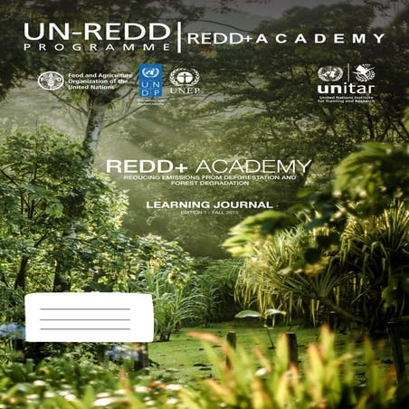 Challenges and Barriers to redd++ with Recommendations | PPTX